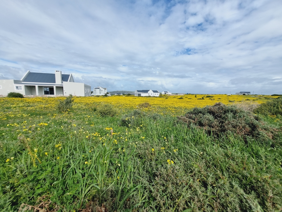 4 Bedroom Property for Sale in Hoogland Western Cape